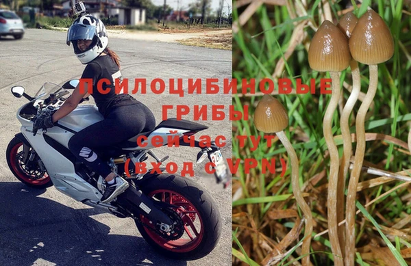 каннабис Барнаул