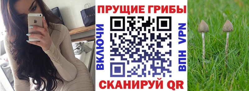 Псилоцибиновые грибы прущие грибы Новотитаровская